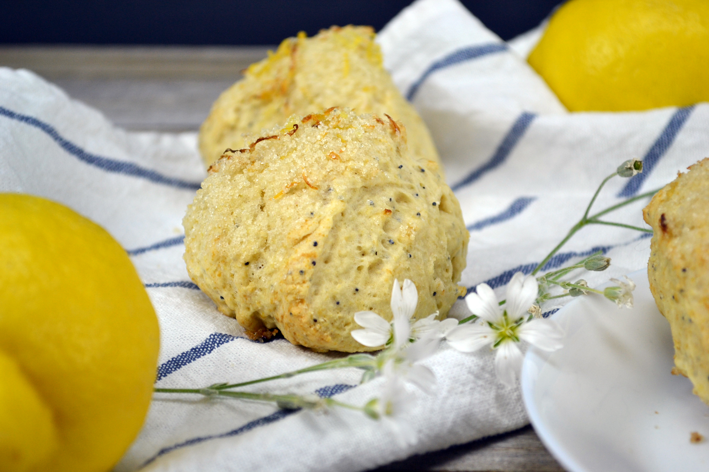 Lemon Poppy Seed Scones A Vital Yopp   Scone LemonPoppySeed 7213 